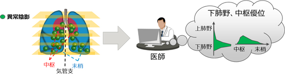 図2 医師の画像の見方