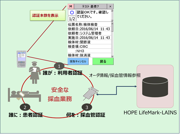 ベッドサイドでの採血業務概要図