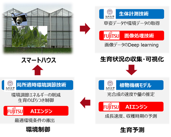 図．共同研究のイメージ図