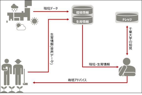 薬用植物・機能性植物の栽培データ記録システム