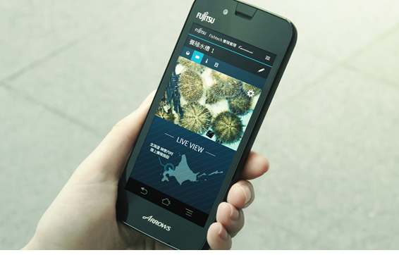 写真2．水槽内の映像のモニタリング画面
