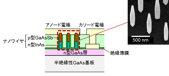図3 ナノワイヤバックワードダイオードの断面構造とナノワイヤ結晶