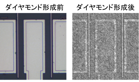 図2 ダイヤモンド形成前後のトランジスタ上面図