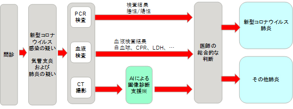図1. 想定される新型コロナウイルス感染症の検査の流れ