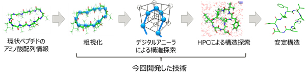 開発した中分子サイズの環状ペプチド安定構造探索の流れ