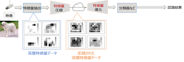 (b) AI認識に特化した特徴量圧縮のフレームワーク