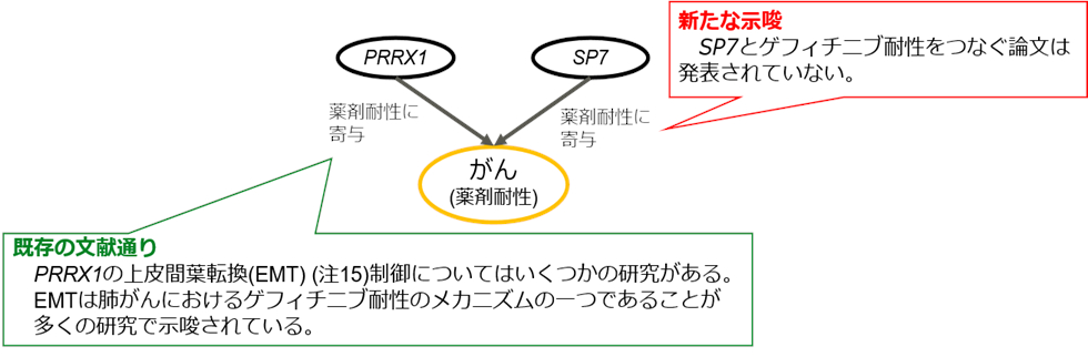 図：本技術により示唆されたゲフィチニブ耐性の条件と因果関係