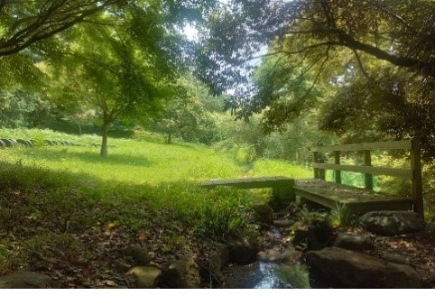 沼津工場内のビオトープ