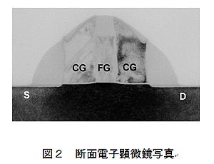 図2 断面電子顕微鏡写真