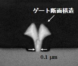 Y型ゲート断面写真