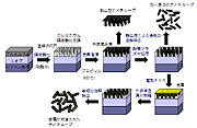 今回開発したナノチューブ作製技術、金属充填技術