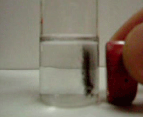 ニッケルと鉄の合金を充填したカーボンナノチューブが磁石に引き寄せられる様子