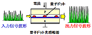 量子ドット光増幅器と入力波形・出力波形