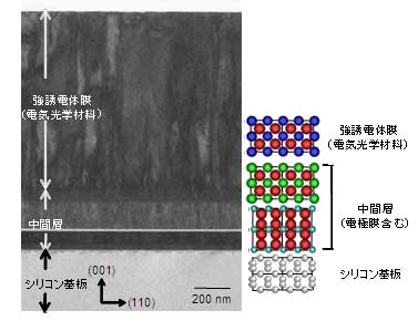 開発したシリコン基板上の強誘電体単結晶膜の断面構造と結晶構造