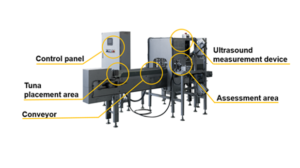 Figure 1. Diagram of the SONOFAI T-01